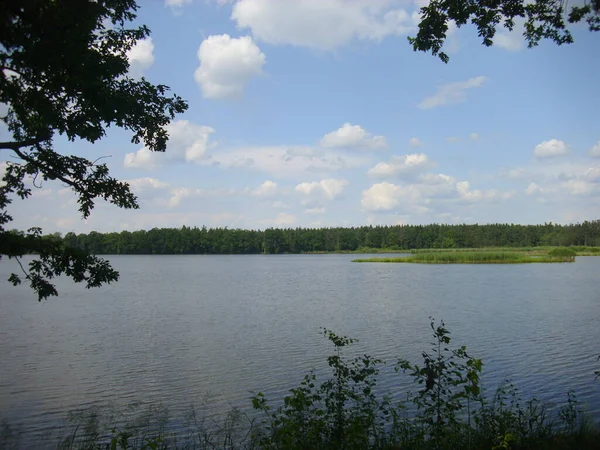 Sistema Stagno Trebon Paesaggio Magico Stagni Foreste Alluvionali Nella Czechia — Foto Stock