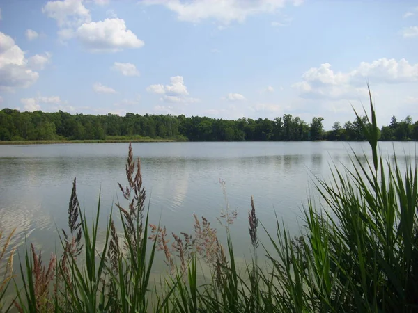 Trebon Sistema Lagoa Paisagem Mágica Lagoas Florestas Várzea Sul Czechia — Fotografia de Stock