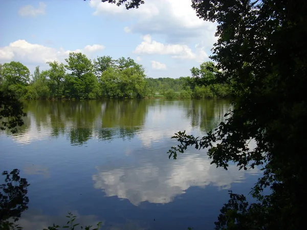 Trebon Pond System Μαγικό Τοπίο Των Λιμνών Πλημμυρισμένα Δάση Στη — Φωτογραφία Αρχείου