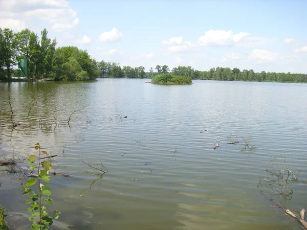 Teichsystem Trebon Zauberhafte Teichlandschaft Auwälder Süden Tschechiens — Stockfoto