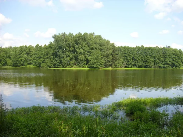 トレボン池システム 南チェコの池 氾濫原の森林の魔法の風景 ストックフォト