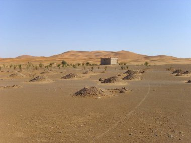 Çöl, kum tepeciği.