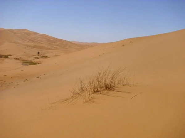 Woestijn Woestenij Zand Duin Sahara — Stockfoto