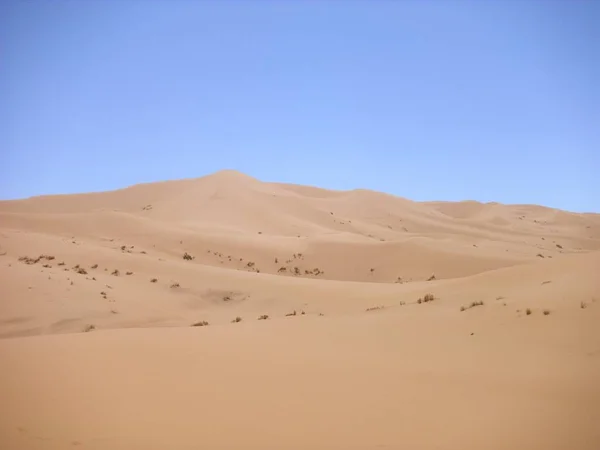 Έρημος Ερημότοπος Και Αμμόλοφος Sahara — Φωτογραφία Αρχείου