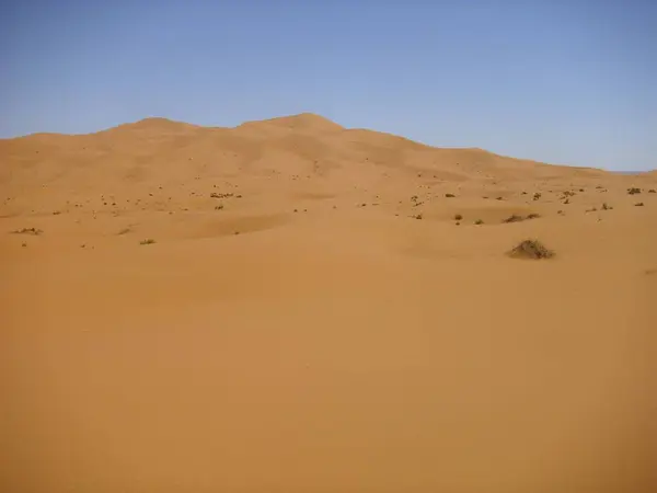 Έρημος Ερημότοπος Και Αμμόλοφος Sahara — Φωτογραφία Αρχείου