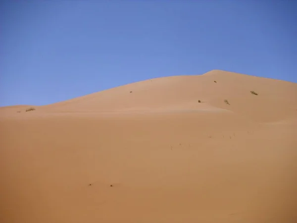 Deserto Deserto Deserto Areia Duna Sahara — Fotografia de Stock