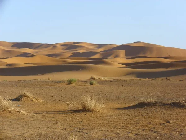 Έρημος Ερημότοπος Και Αμμόλοφος Sahara — Φωτογραφία Αρχείου