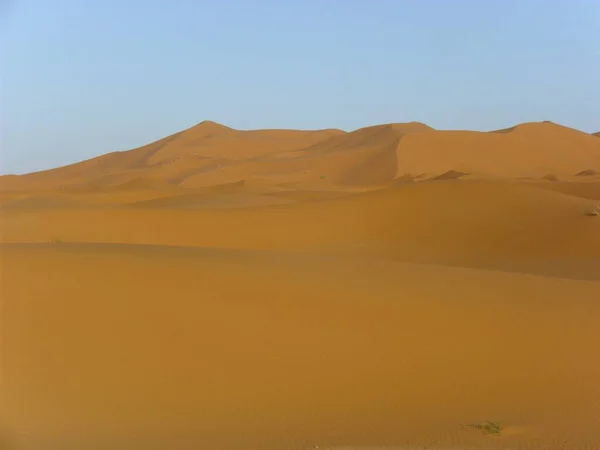 Pouštní Písečná Duna Sahara — Stock fotografie