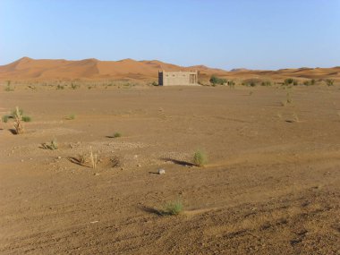 Çöl, kum tepeciği.