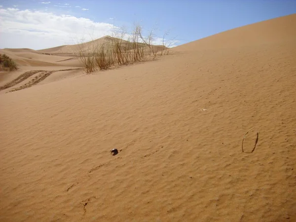 Deserto Deserto Deserto Areia Duna Sahara — Fotografia de Stock