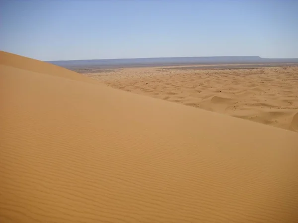 Έρημος Ερημότοπος Και Αμμόλοφος Sahara — Φωτογραφία Αρχείου