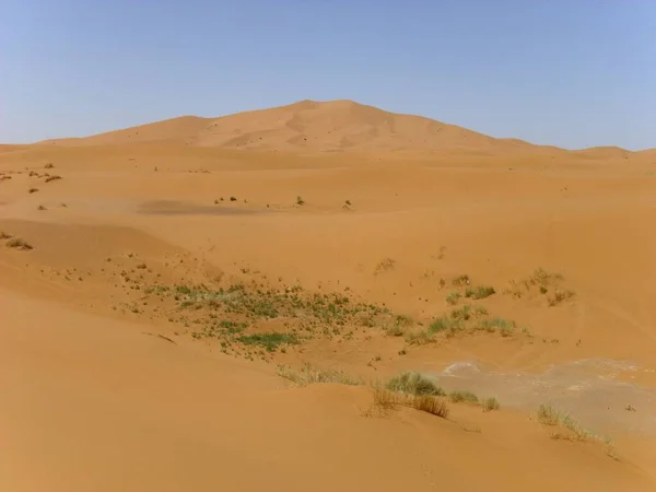 Desert Wasteland Sand Dune Sahara — Stock Photo, Image