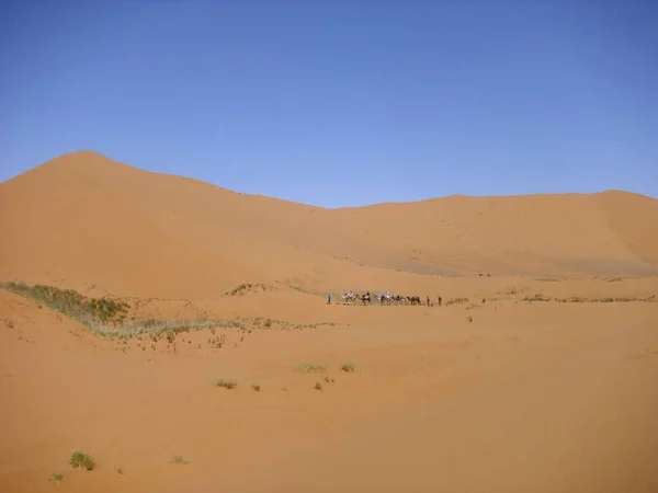 Deserto Deserto Sabbia Dune Sahara — Foto Stock