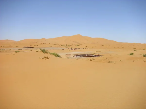 Deserto Deserto Deserto Areia Duna Sahara — Fotografia de Stock