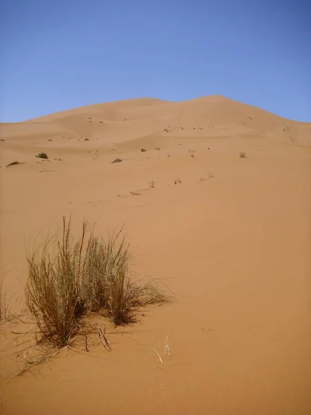 Deserto Deserto Deserto Areia Duna Sahara — Fotografia de Stock