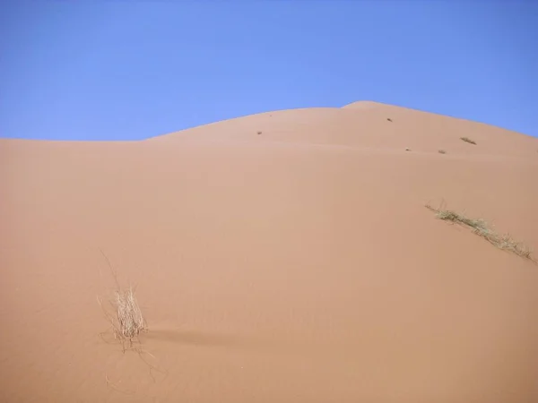 Έρημος Ερημότοπος Και Αμμόλοφος Sahara — Φωτογραφία Αρχείου