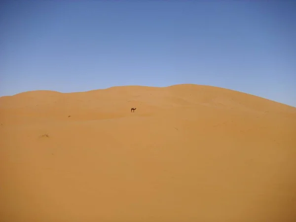 Sivatagi Pusztaság Homok Dűne Szahara — Stock Fotó