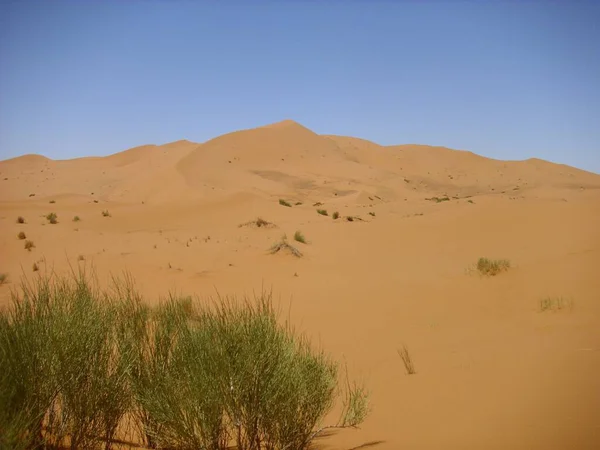 Deserto Deserto Deserto Areia Duna Sahara — Fotografia de Stock