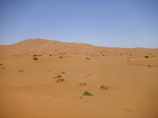 Пустеля Пустеля Пустеля Пісок Дюн Сахара — стокове фото