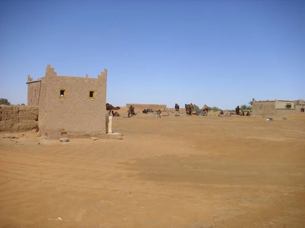 Woestijn Woestenij Zand Duin Sahara — Stockfoto