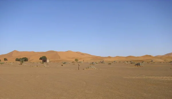 Wüste Ödnis Sanddüne Sahara — Stockfoto