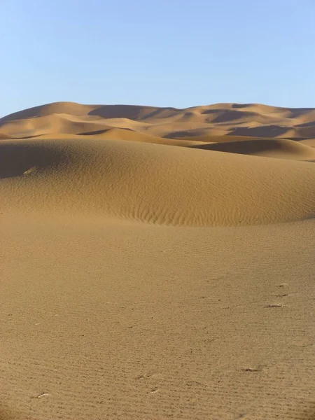 Έρημος Ερημότοπος Και Αμμόλοφος Sahara — Φωτογραφία Αρχείου