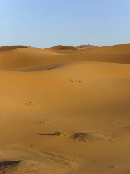 Deserto Deserto Deserto Areia Duna Sahara — Fotografia de Stock