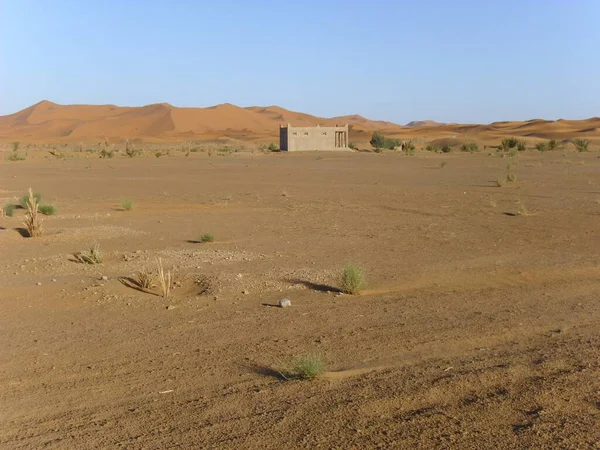 Öken Ödemark Sand Sanddyn Sahara — Stockfoto