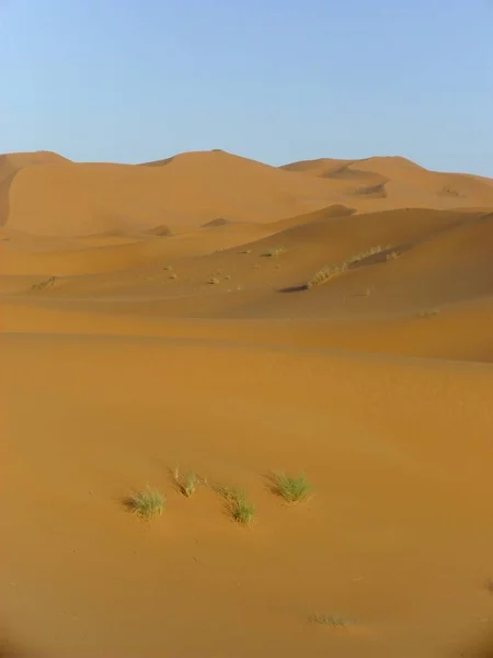 沙漠荒地沙丘撒哈拉沙漠 — 图库照片
