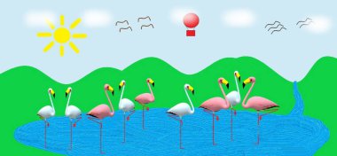 Gölde pembe ve beyaz flamengolar