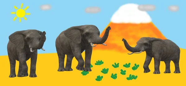 Слоны Национальном Парке Сафари — стоковое фото