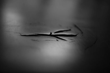 Siyah, koyu, sanatsal ve basit makro tasarım.