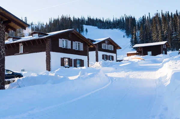 Estación de esquí de moda en las pistas del bosque de invierno durante el día —  Fotos de Stock