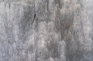 paslı doku arka plan boyalı