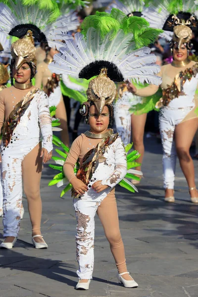 Carnaval Anual Tenerife Espanha Fevereiro 2020 — Fotografia de Stock