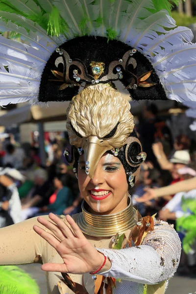 Carnaval Anual Tenerife España Febrero 2020 — Foto de Stock