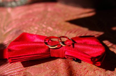 Damadın yüzüklü kelebeği