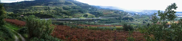 Aussichtsreiche Landschaft Slowenien Europa — Stockfoto