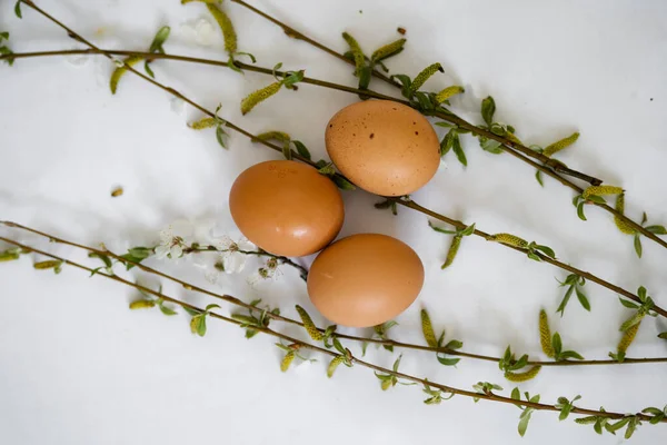 Huevos Pollo Ramas Florecientes — Foto de Stock