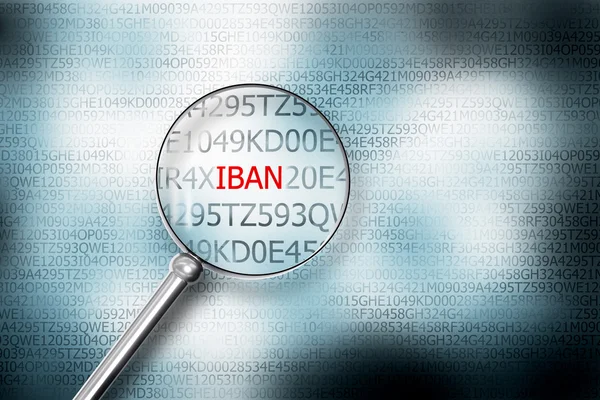 Reading iban screen magnifying glass 3D Illustrastion — Stock Photo, Image