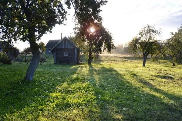 Temprano Soleado Mañana Otoño Con Niebla Largas Sombras Árboles Hierba —  Fotos de Stock