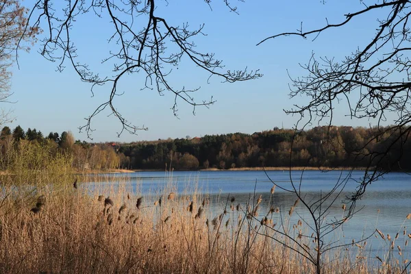 Spring Landscape Blue Lake Blue Sky Nature — Stock Photo, Image