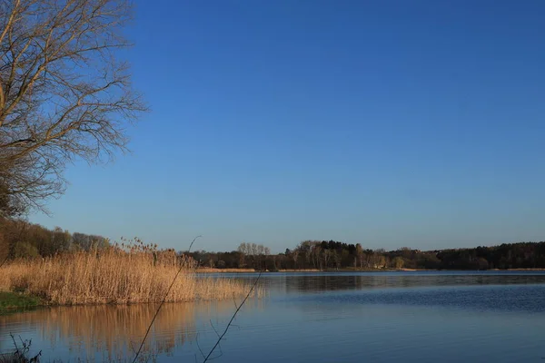 Frühlingslandschaft Blauer See Blauer Himmel Natur — Stockfoto