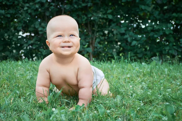 Despreocupado Niño Sonriente Arrastrándose Sobre Hierba Verde Día Soleado Mirando — Foto de Stock