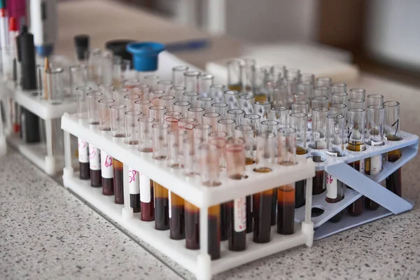 Viele Reagenzgläser Mit Blut Halter Medizinischen Labor Rack Mit Blutproben — Stockfoto