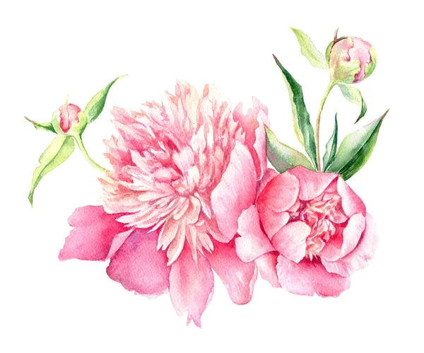 Ilustração em aquarela de Pink Peony. Fundo romântico para páginas da web, convites de casamento — Fotografia de Stock