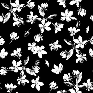 Elma çiçeği suluboya desenli, siyah ve renksiz. Güzel el çizimi dokusu.