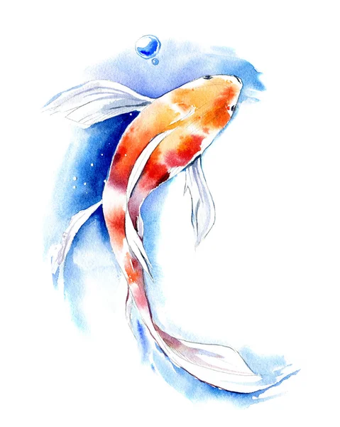 Handgezeichnete Aquarell-Illustration von Koi-Karpfen auf weißem Hintergrund. — Stockfoto