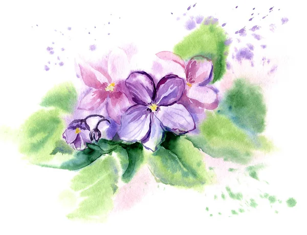 Vetor Desenhado Mão Aquarela Ilustração Violetas Fundo Romântico Para Páginas — Vetor de Stock