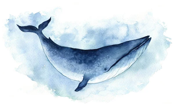 Acuarela Ilustración Ballena Una Ballena Azul Aislada — Foto de Stock